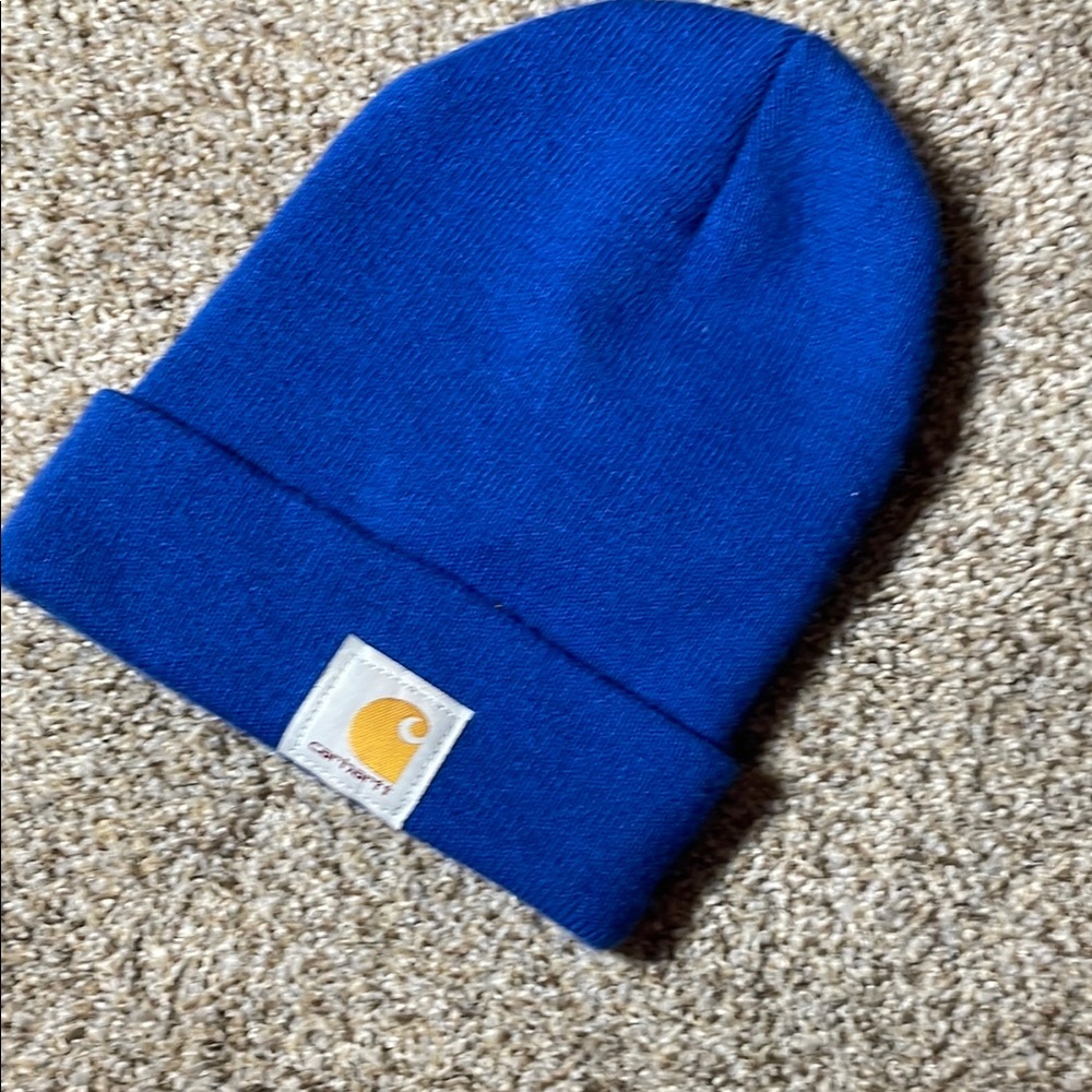 Carhartt Blue Winter Knit Hat